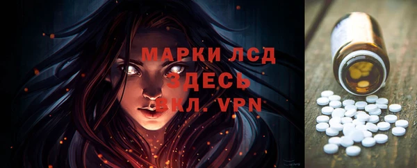 ГАЛЛЮЦИНОГЕННЫЕ ГРИБЫ Аркадак