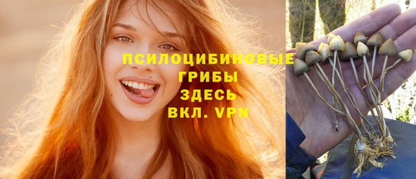 синтетический гашиш Алексеевка