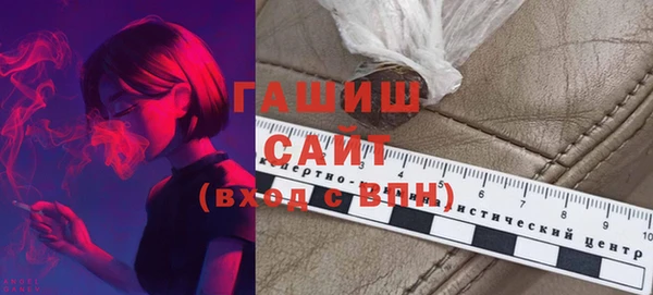 шишки Надым