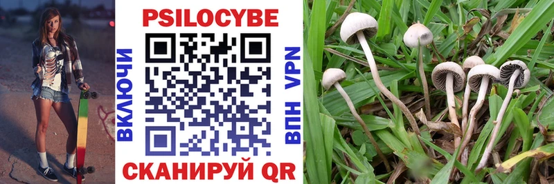 блэк спрут ссылки  Новодвинск  Галлюциногенные грибы Magic Shrooms 